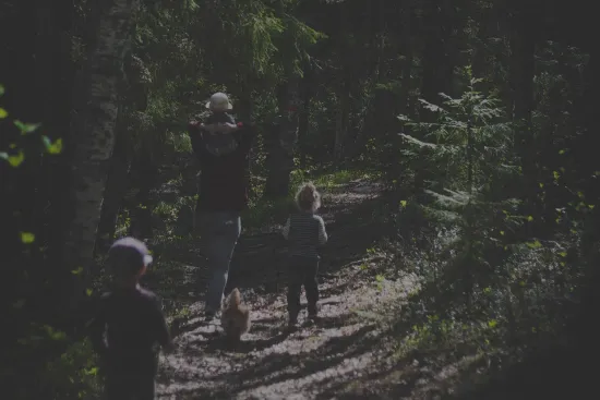 naturupplevelser i Vännäs