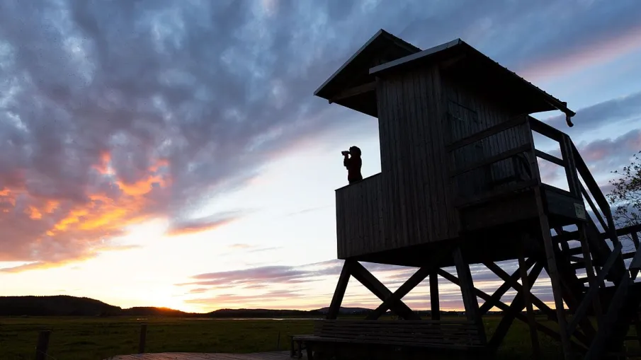 Brånsjöns naturreservat