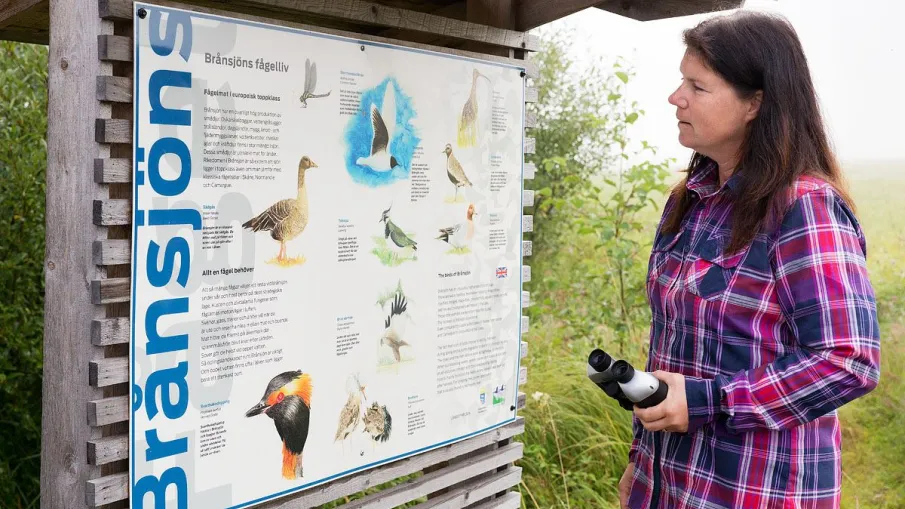 Brånsjöns naturreservat