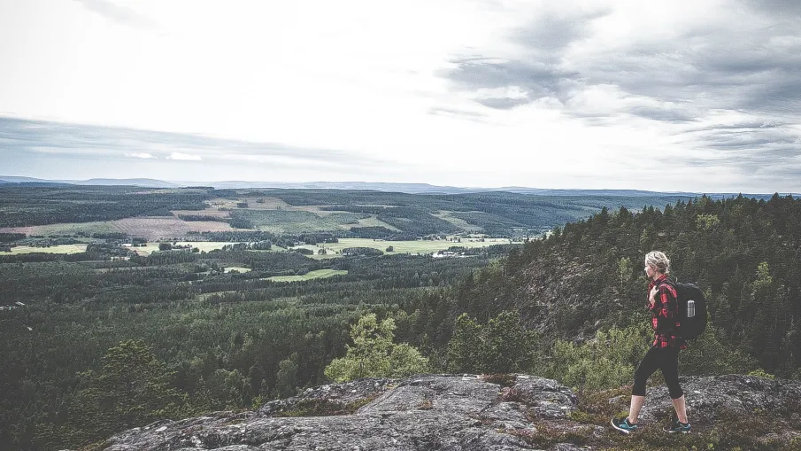 Starrbergets naturreservat