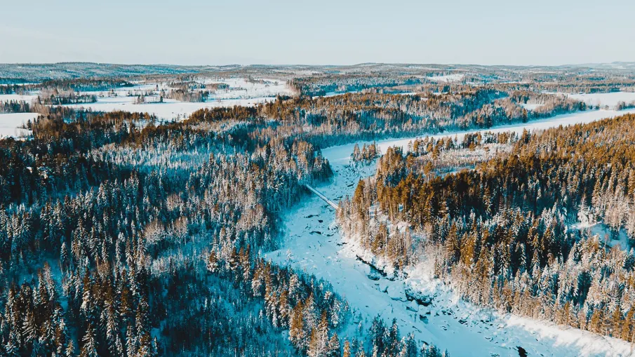 Tunnelutloppet i Fällforsen