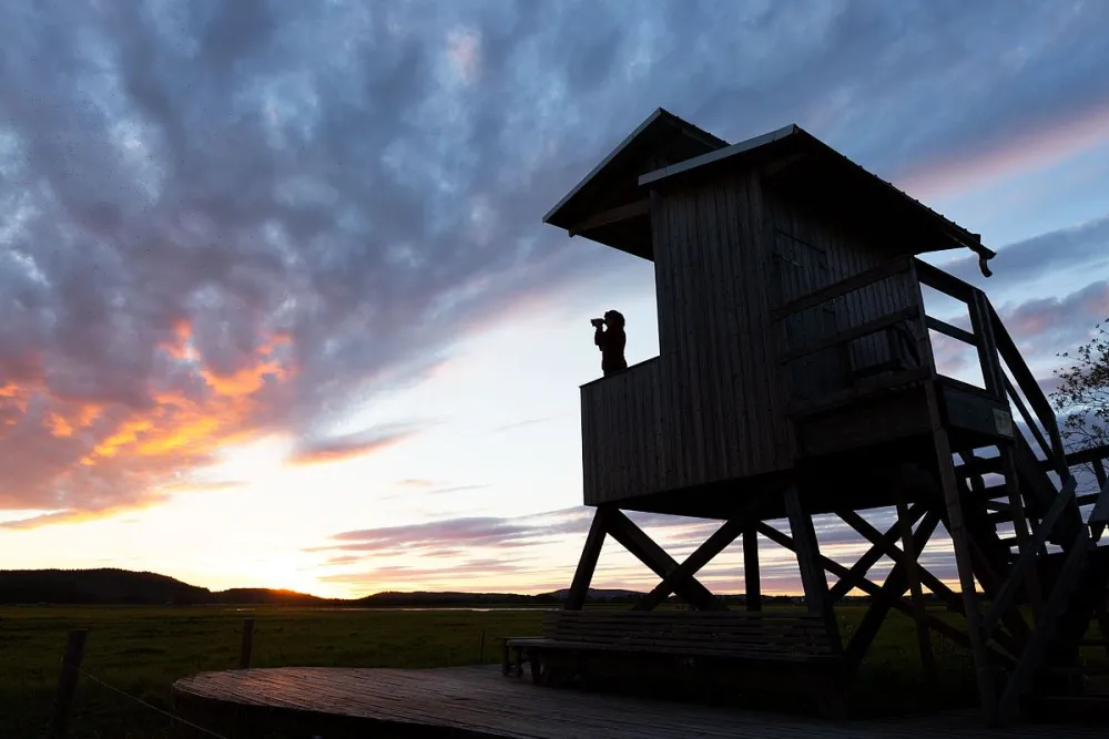 Brånsjöns naturreservat