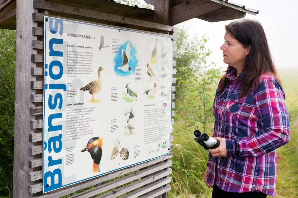 Brånsjöns naturreservat