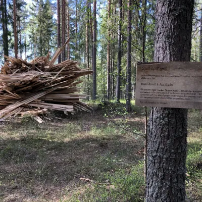 Konstverk skogen kallar